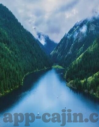 足球比分作者-足球比分背后的故事，数据狂潮中的热血与梦想